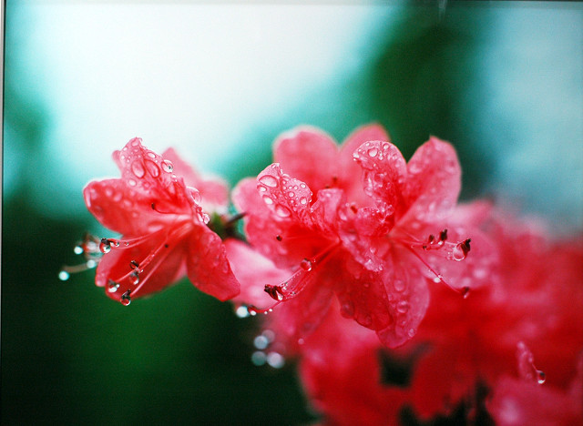 雨あがり