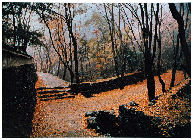 晩　秋（高山寺）