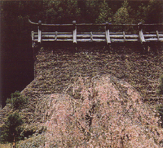 民家　周山街道