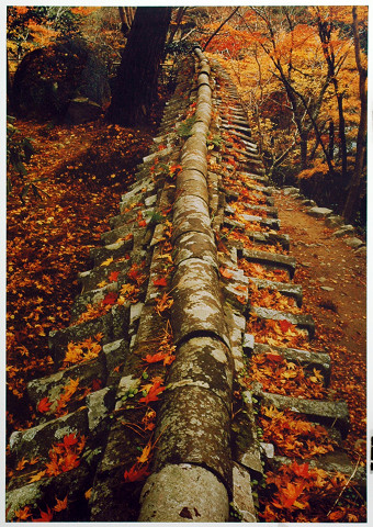 散り紅葉　高山寺