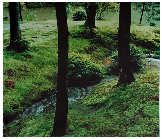 苔庭　西芳寺