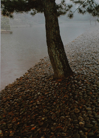 石浜の雨量