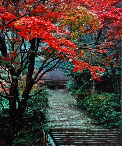 大和路　室生寺　秋色