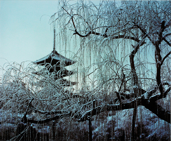 大和路　雪の興福寺塔