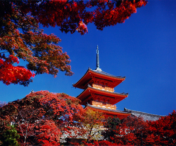 京都/清水寺・紅葉