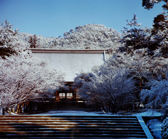 京都/大覚寺・春雪