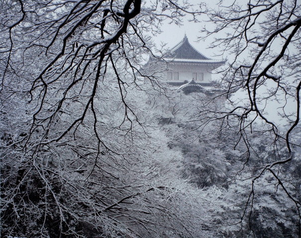 皇居の四季　雪の伏見櫓