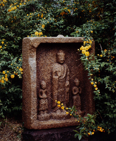 山吹（般若寺）