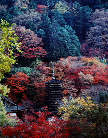 十三重塔（談山神社）